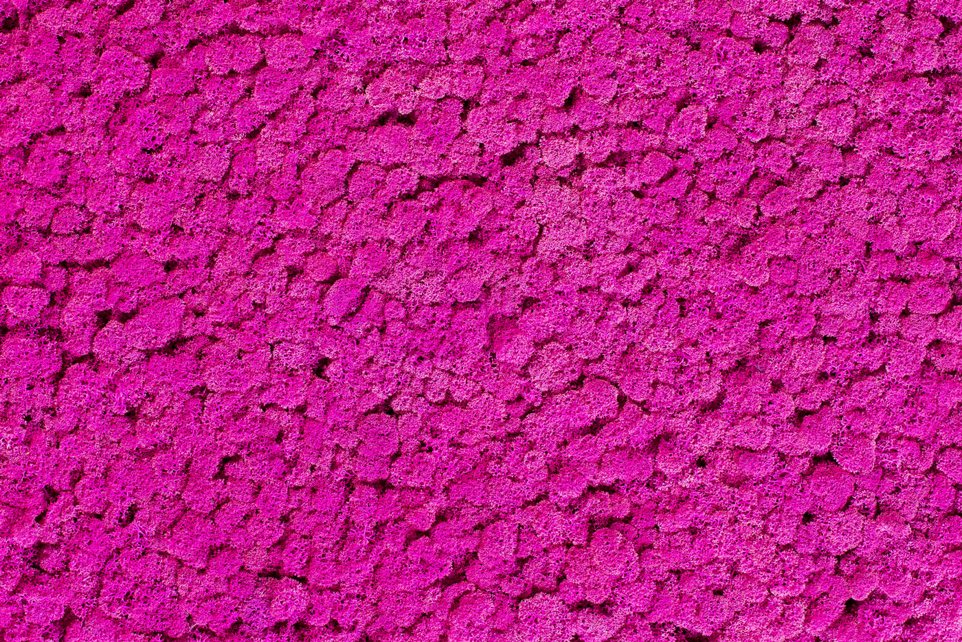 Special colour