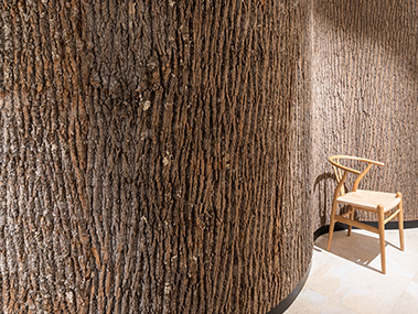 Bark House® Premium poplar panels and shingles exclusively at Freund GmbH - Cradle to Cradle certified, wooden walls acoustically effective